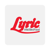 Lyric