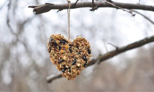 Heart shaped suet